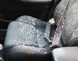 Demenagement Comment se debarrasser de la moisissure dans votre voiture